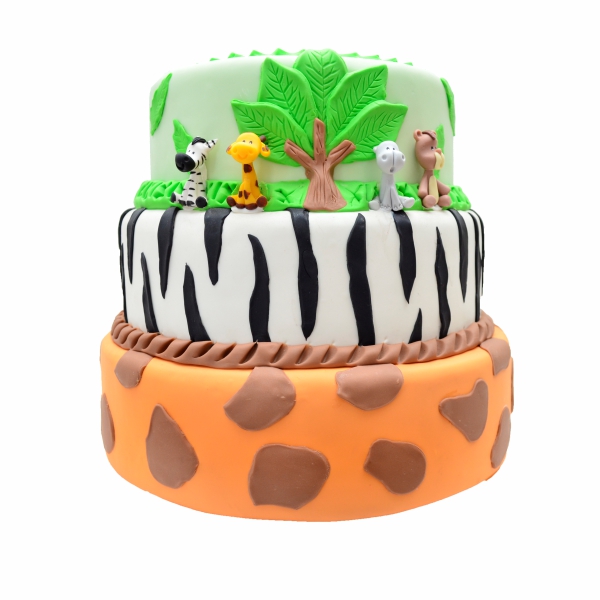 Bolo - Safari