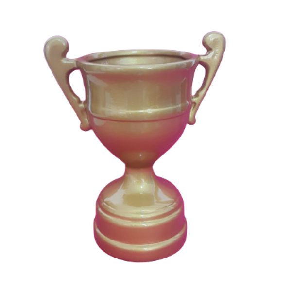 Futebol Taça