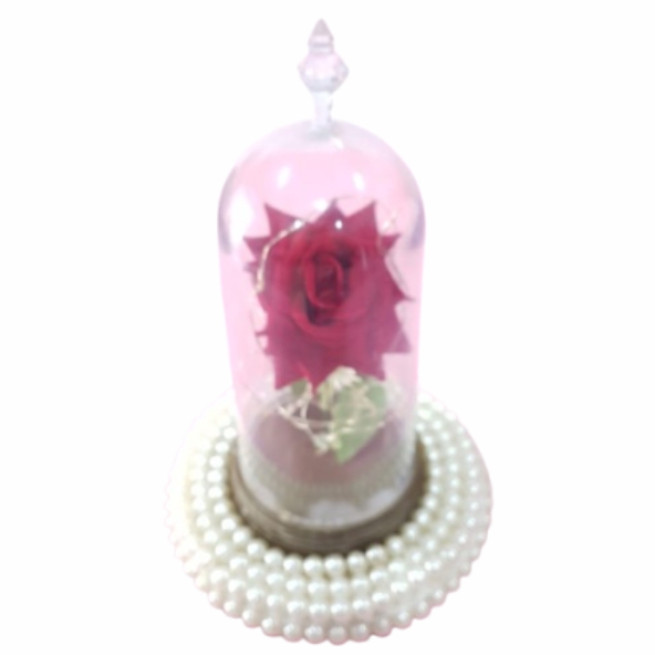 A bela e a Fera - Redoma - rosa vermelha